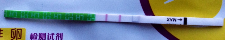 Это она? Надеюсь на последний цикл перед лапарой