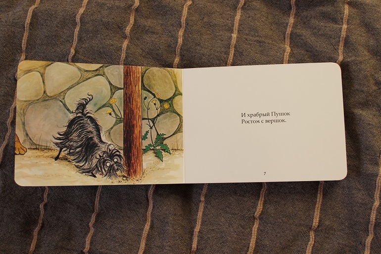 Собачья радость