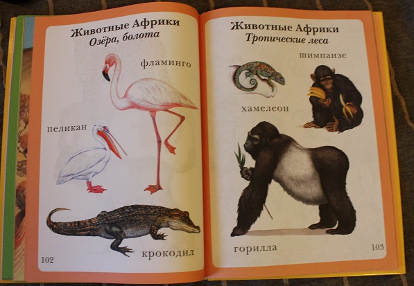 Как мы начали учить слова)