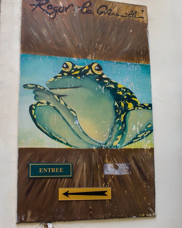 Лягушки, улитки и 2 маленьких устрицы))