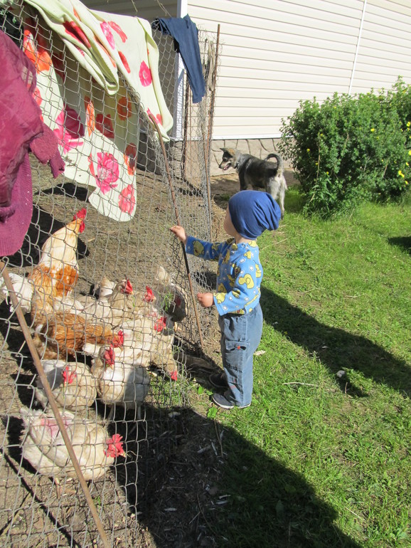 ватутинские фоточки . лучше поздно, чем никогда ))
