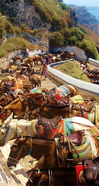 Остров Санторини (Киклады)