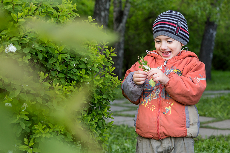 Наше сибирское лето .