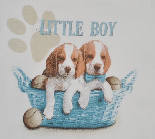 Мальчики 0-36 м Armani DG Dior Burberry Monnalisa и тд