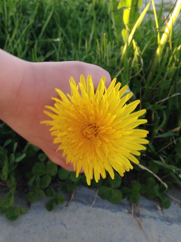 dab4f719d7796cc712e7d426c72e90b5.jpg