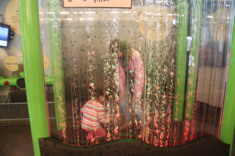 Environmental museum & Mall of Georgia