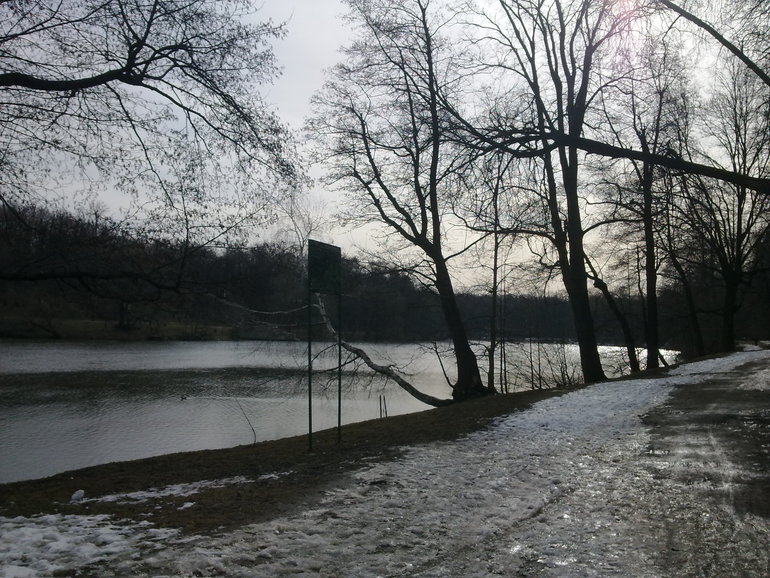 Наконец-то выбрались в парк!