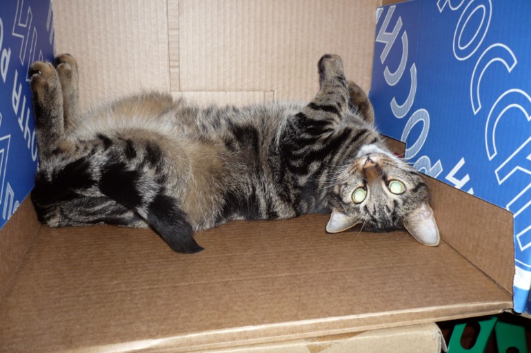 Нашёл себе пентхаус