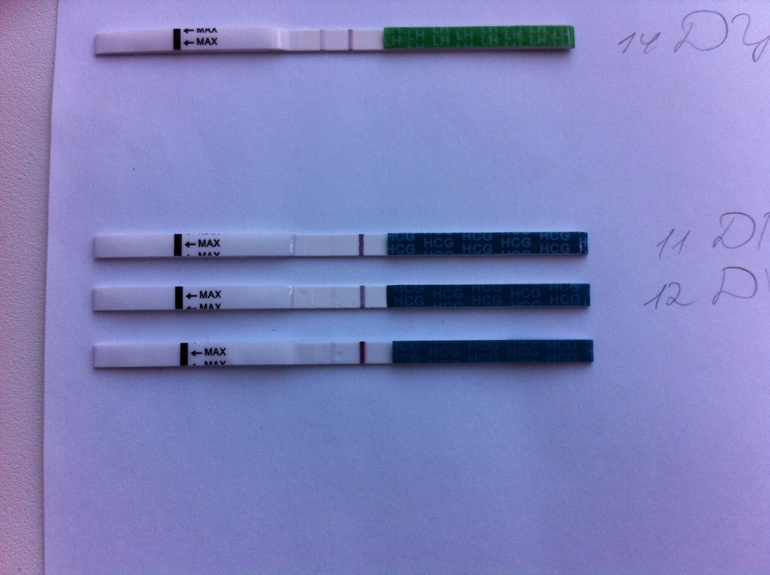 Завтра-послезавтра день Х