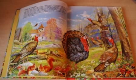 Новинки нашего книжного приданного