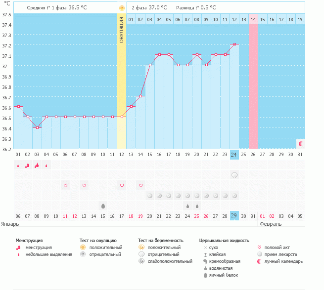 12 ДПО, тест отрицательный, а такой график впервые