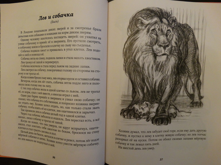 Чудесные книги по 39 рублей. Очееень много фото разворотов.