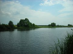 Продается дом с участком в Тамбовской области.