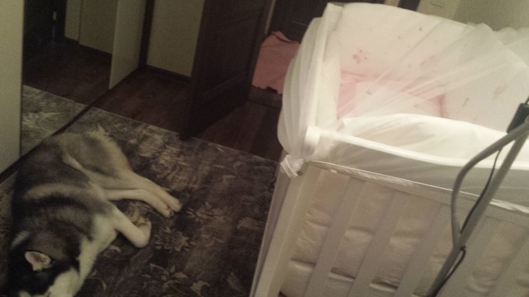 Отзыв о кроватке Giovanni Belcanto Lux