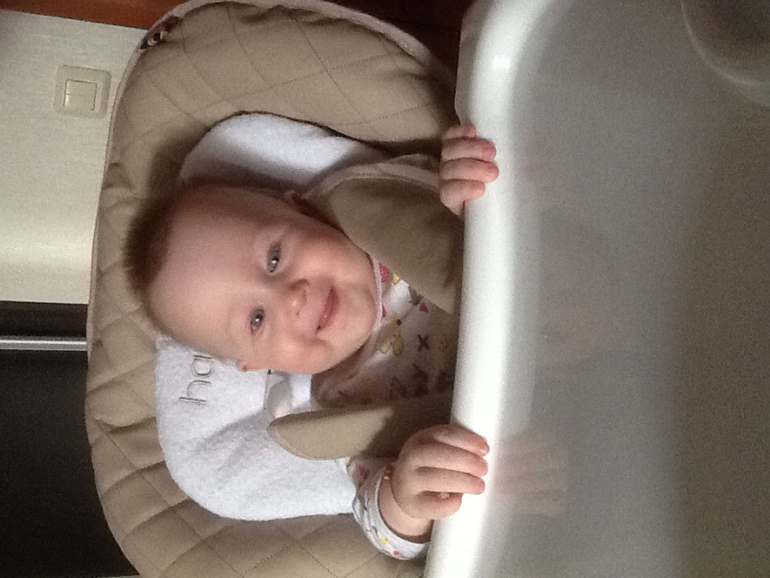 Наш стульчик hb william.