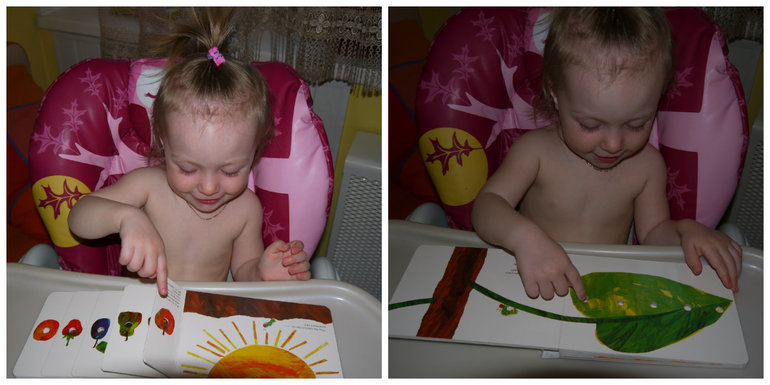 ТН "Как растут овощи" . День 4.