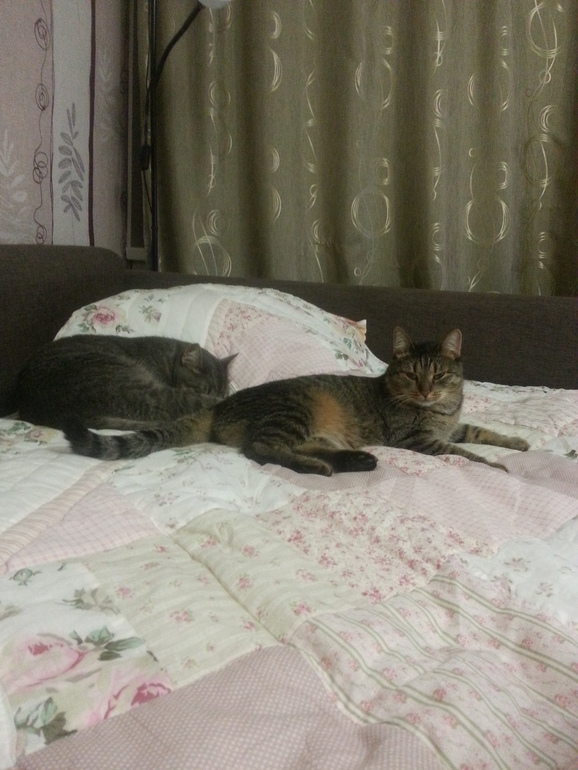 Подготовка к Новому году