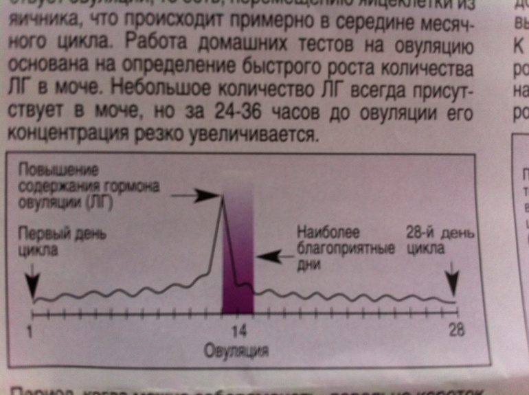 Повезет или нет!?