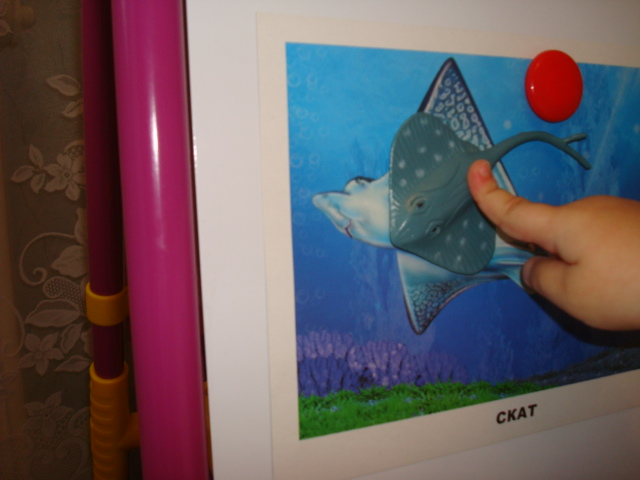 ФМ Море. День второй