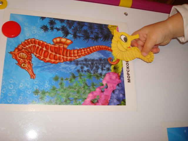 ФМ Море. День второй