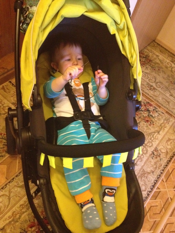 Коляска Graco Evo - домашняя  презентация !