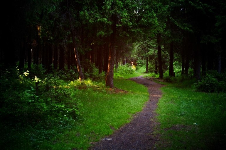 Долой из города!!! Хочу жить в деревне!!))))