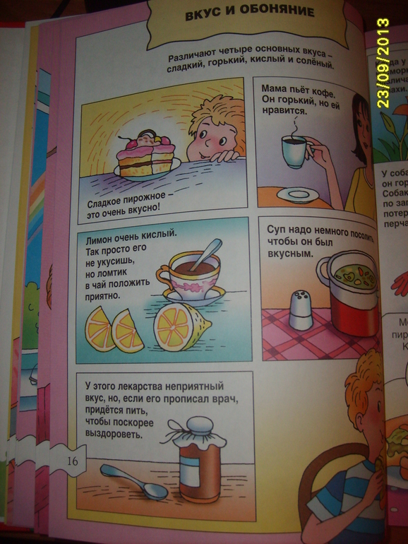 Мои запасы