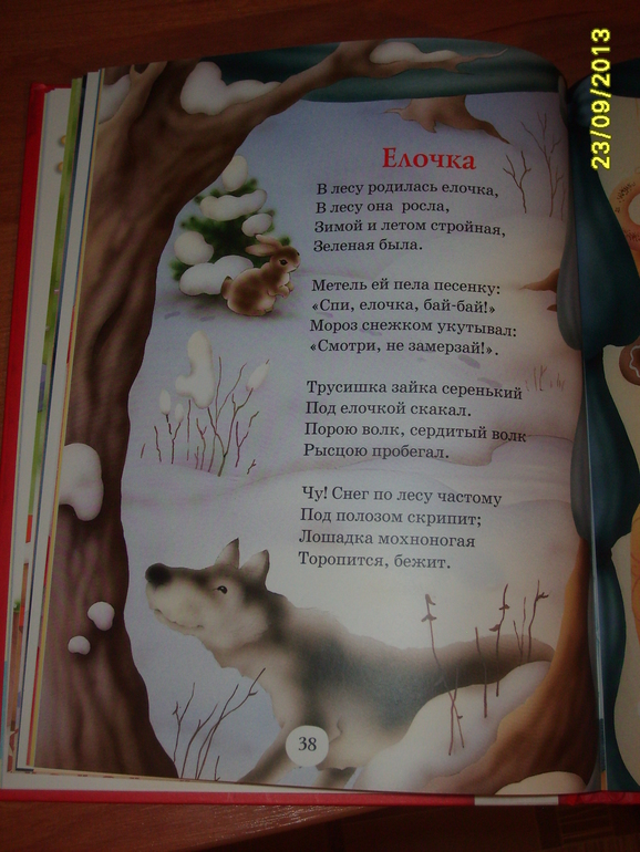 Мои запасы