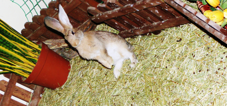 Поход в кино.