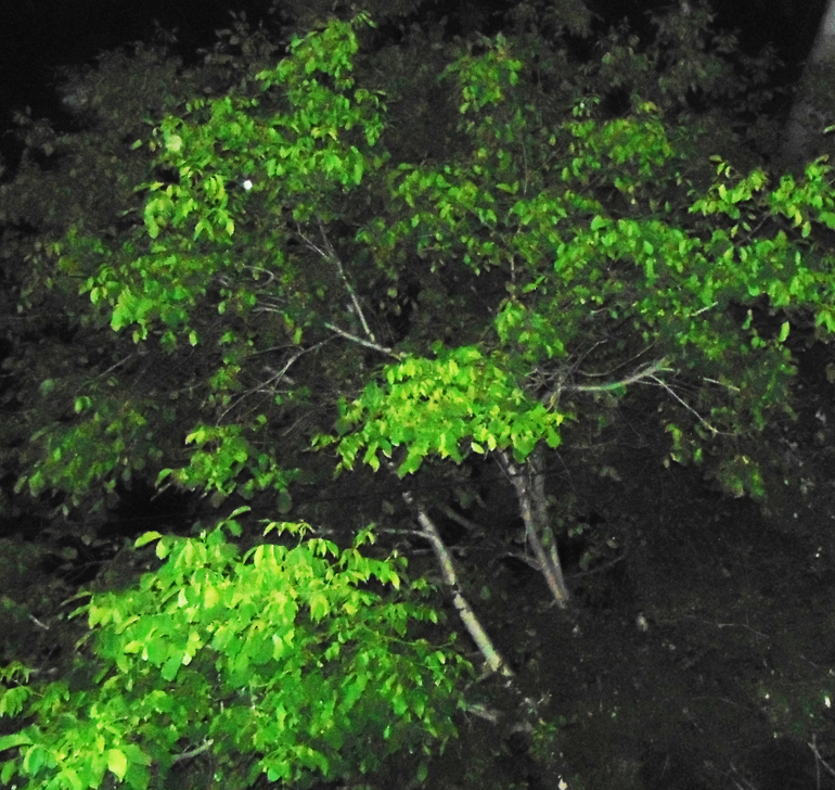 Поход в кино.