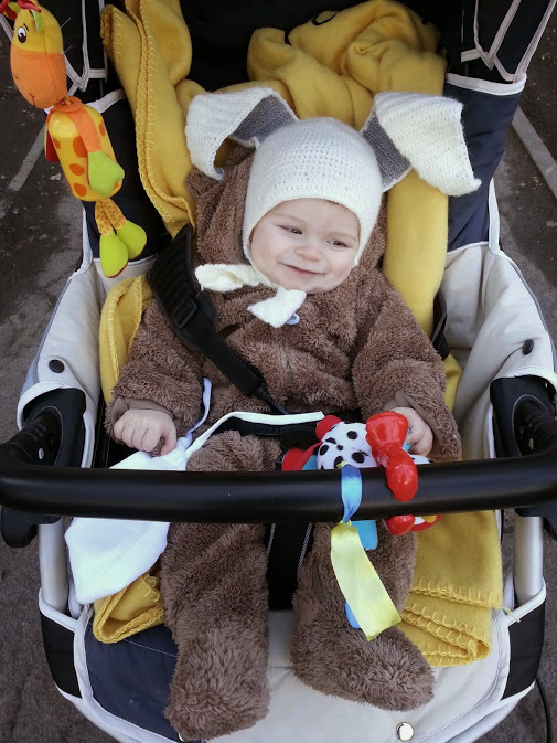 Без недели 6 месяцев