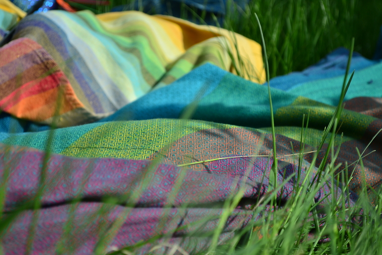 Продам Гирасол темная радуга