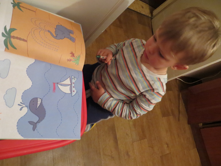 ТН Море. Дни 4-5. Морские обитатели и корабли