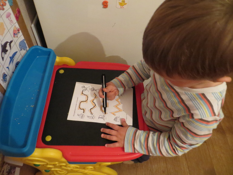 ТН Море. Дни 4-5. Морские обитатели и корабли