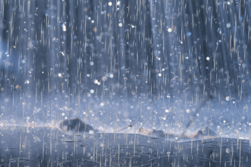 хочется лета,дождя)))