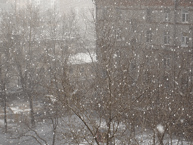 Рождённые в СССР