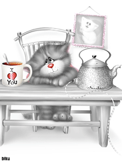 милые котейки)))