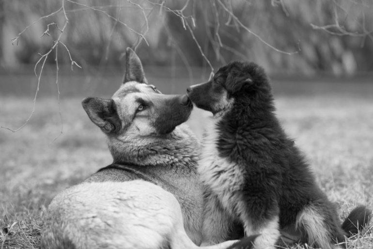 Love story...