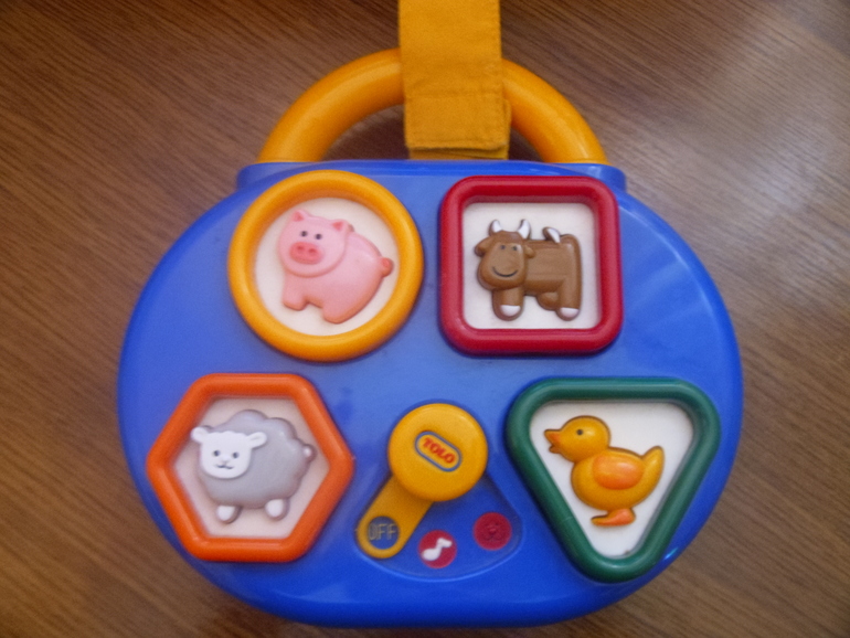 Тема дня: Вівця, баран, ягня (Овечки)