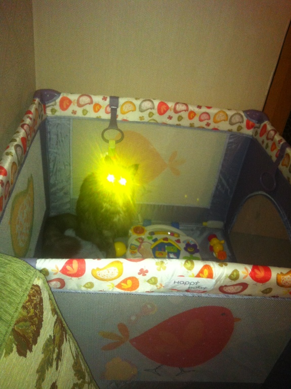 История нашего планирования