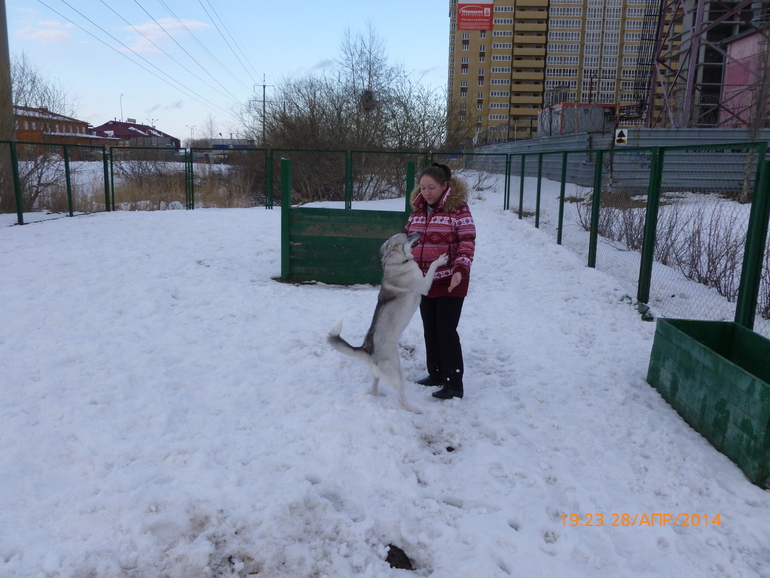 Просто так)