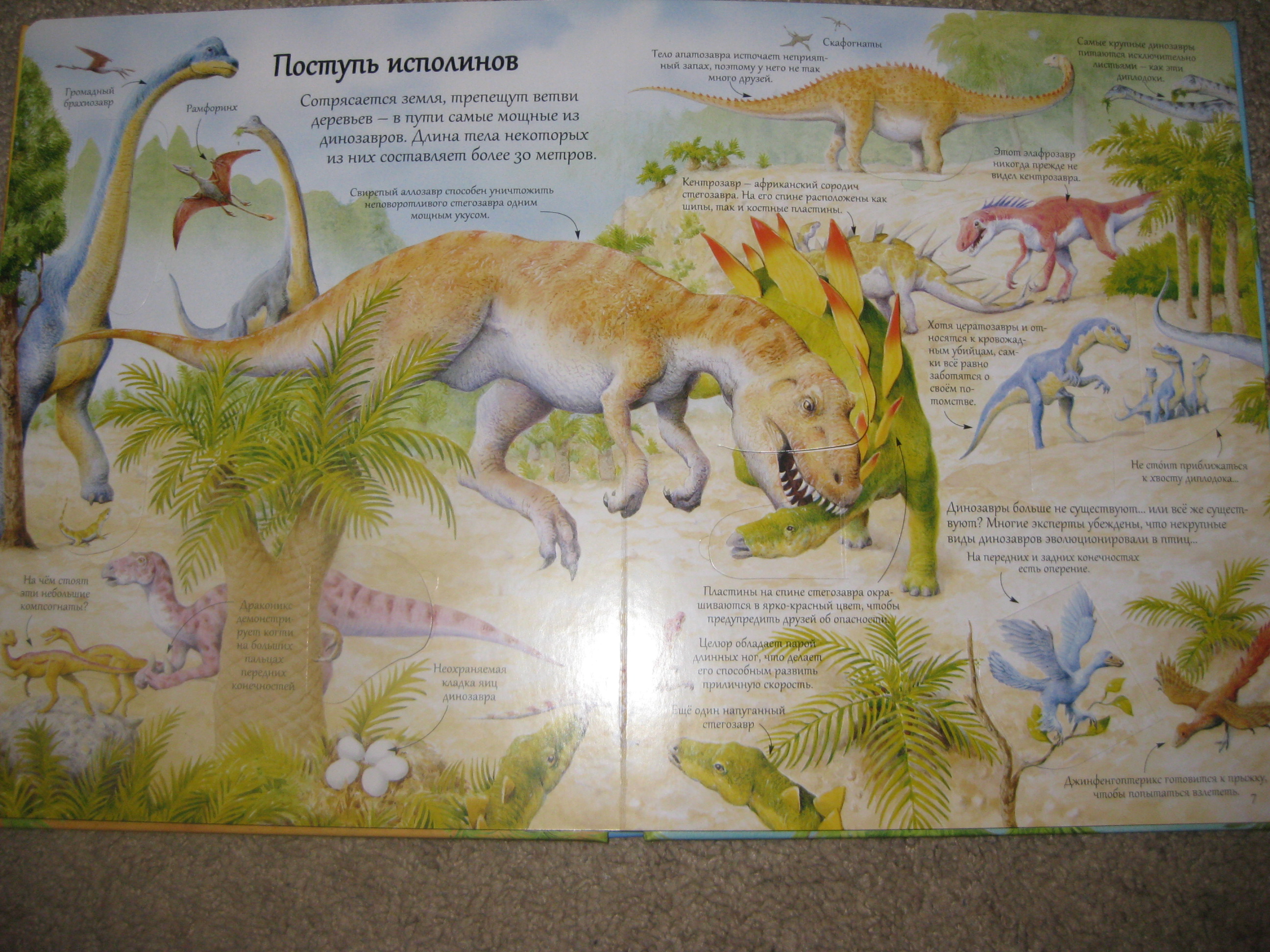 Книга про динозавров