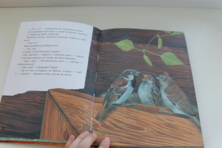 Наши Читалки Июнь - 1 год 6 месяцев