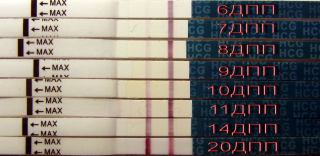 Полоска взлётная))),,,на удачу!!!