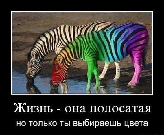 ЖИЗНЕННЫЕ СОВЕТЫ
