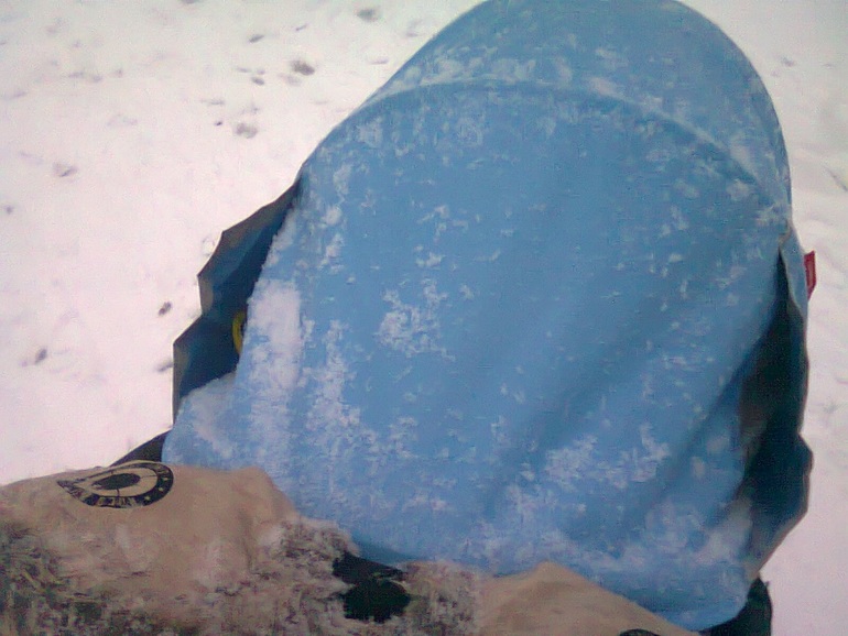 Опыт эксплуатации коляски Phil & Teds - Navigator. часть 1