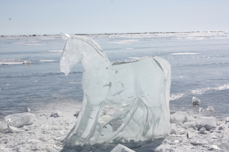 Табун ветров)) международный день ледяного молчания))