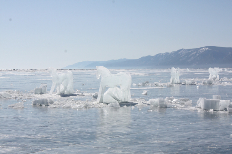 Табун ветров)) международный день ледяного молчания))