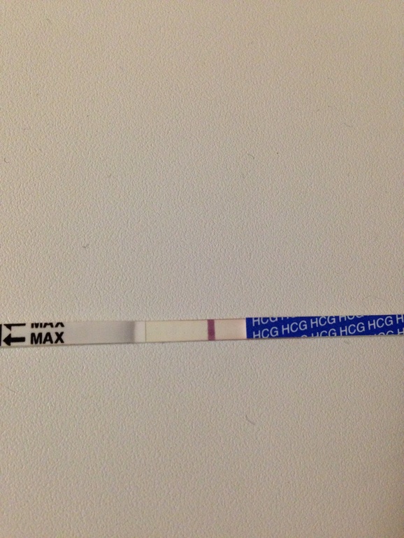 Вот и монстры)) Здравствуй, новый цикл!