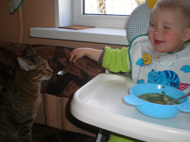 рыбный супчик